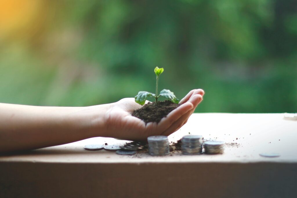 pexels photo 5550910 5550910 1 A hand cradles a young plant above coins, symbolizing financial growth and sustainability.